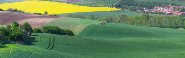 istock Landscape of sunny day in spring meadow 638367432