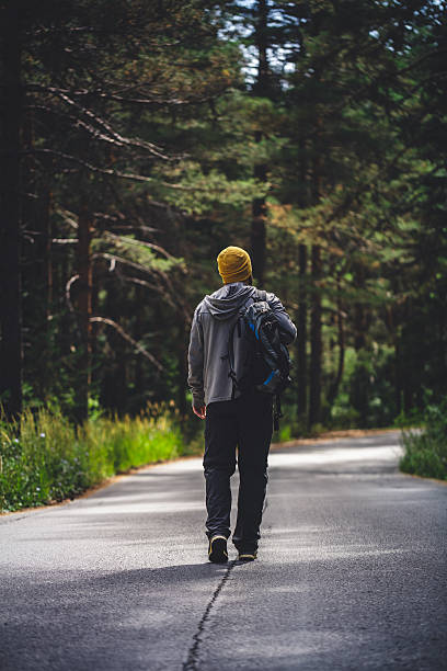 istock Backpacker walking alone by the road through the forest. 638369398