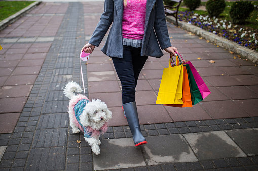 Young woman and a dog going for a walk with shopping bags