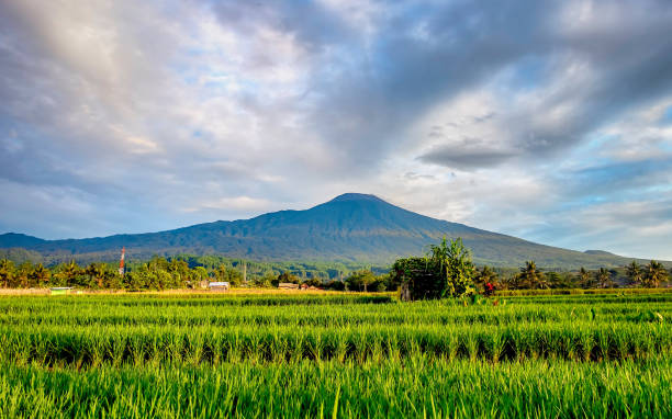 istock Slamet Mountain in the morning 638370434