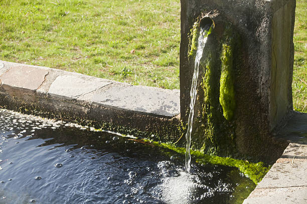 istock Water fountain, spurt, water surface, green meadow. 638371944