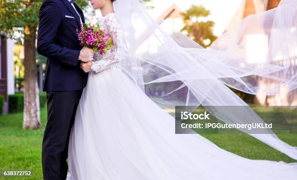 Side View Of Wedding Couple Standing At Lawn Stock Photo - Download Image Now - Bride, Veil, Wedding
