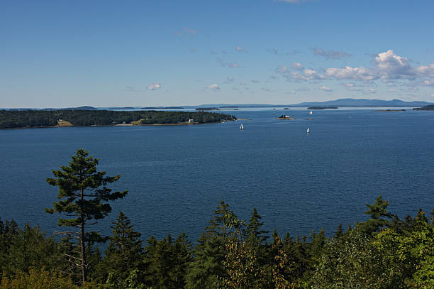 istock Sailboats in Eggemoggin Reach 638373898