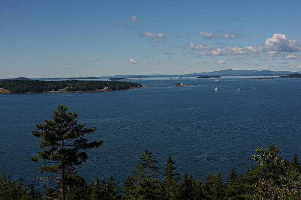 istock Sailboats in Eggemoggin Reach 638373934