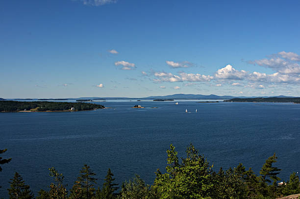 istock Sailboats in Eggemoggin Reach 638373944