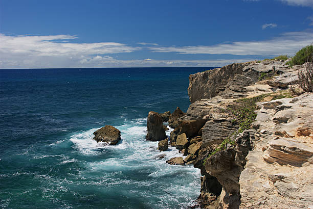 istock Rocky Kauai Coastline 638374314
