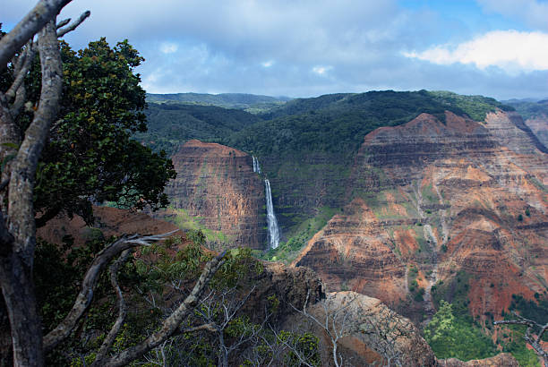 istock Grand Canyon of the Pacific 638376294