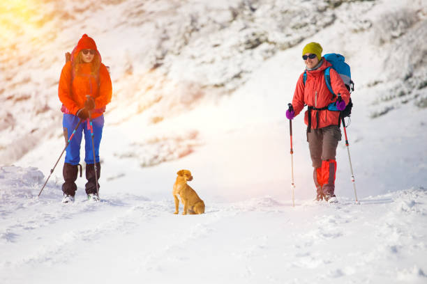 istock Two girls with a dog. 638377344