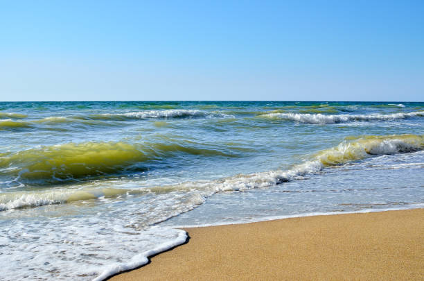 istock Sea waves washed clean beach made of shells. 638377362