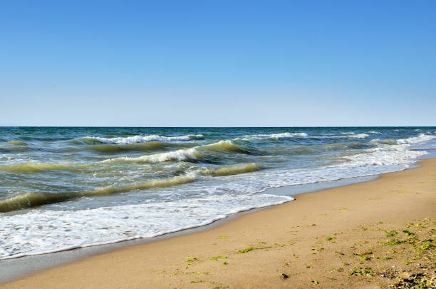 istock Sea waves washed clean beach made of shells. 638377392