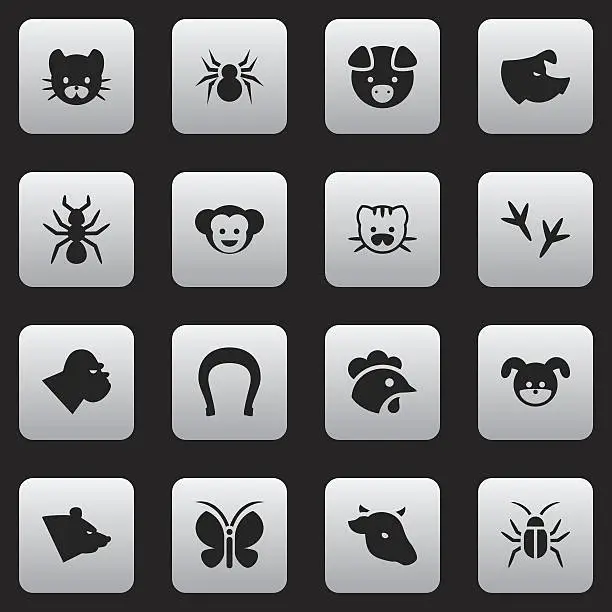 Vector illustration of Set Of 16 Editable Nature Icons.