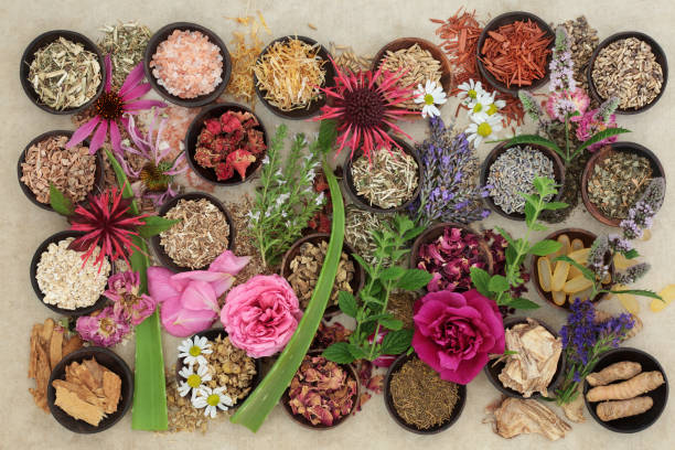 istock Alternative Medicine for Skin Disorders 638379950