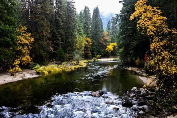 Cold, autumn morning at the Merced River