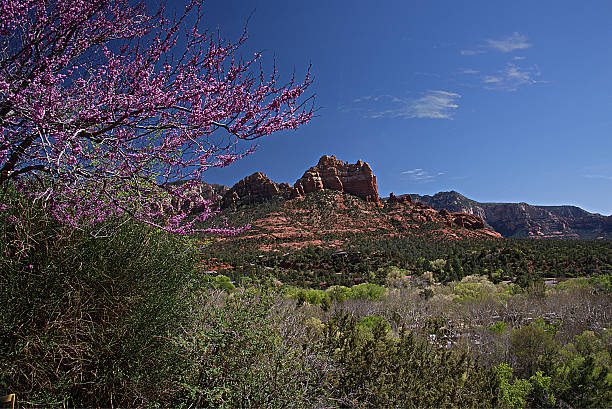 istock Red Rocks of Sedona 2 638389840