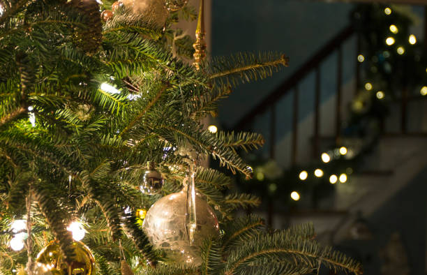 christmas tree with lights in background - xmas tree stockfoto's en -beelden