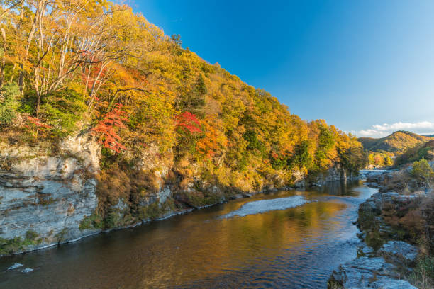istock Autumn color in Japan 638394386