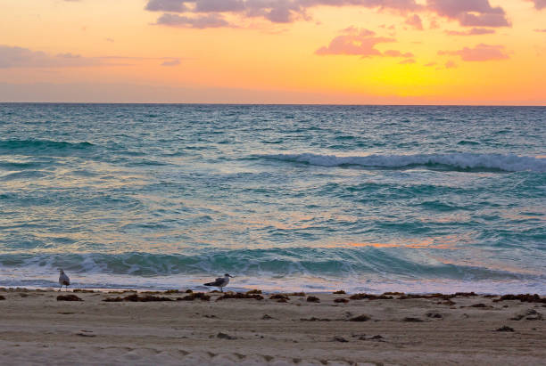 istock Sunrise over the ocean in Miami Beach. 638394872