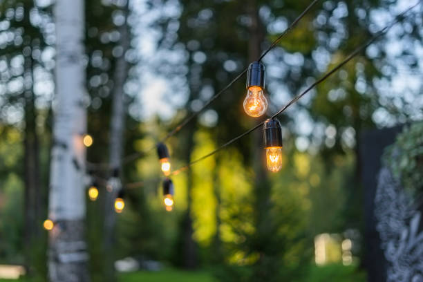 istock Light bulbs hanging on a wire in the forest. 638395238