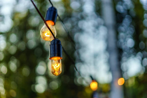 istock Light bulbs hanging on a wire in the forest. 638395252
