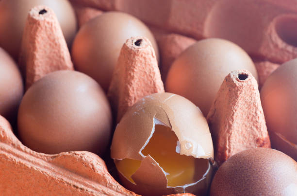 tray  of eggs, one broken closeup to tray  of eggs, one broken single object paper box tray stock pictures, royalty-free photos & images