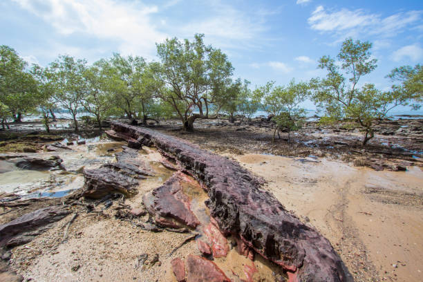 istock beautiful beach and rocks at Laem Chamuk Khwai 638395976