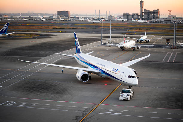 (all nippon airways), 보잉 787 dreamliner  - boeing 787 air vehicle travel business travel 뉴스 사진 이미지