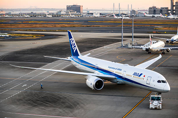 (all nippon airways), 보잉 787 dreamliner  - boeing 787 air vehicle travel business travel 뉴스 사진 �이미지