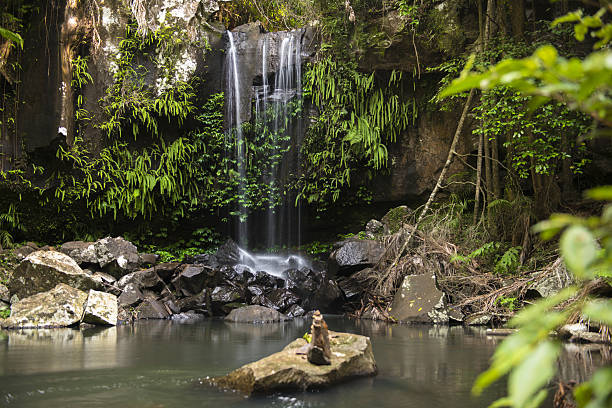 istock Curtis Falls Waterfall in Mount Tambourine 638398640