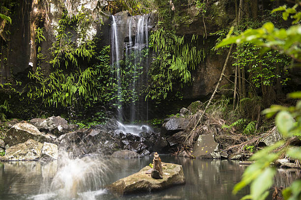 istock Curtis Falls Waterfall in Mount Tambourine 638398678