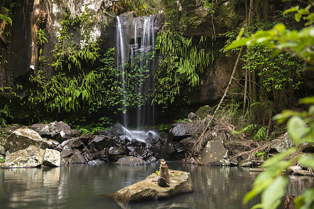istock Curtis Falls Waterfall in Mount Tambourine 638398786
