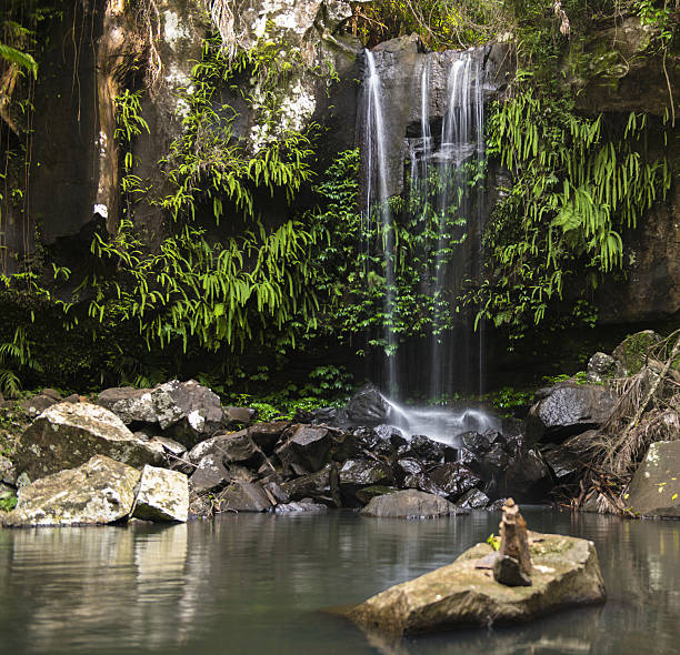 istock Curtis Falls Waterfall in Mount Tambourine 638398814