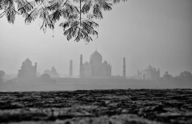 istock The Black and white Taj 638399766