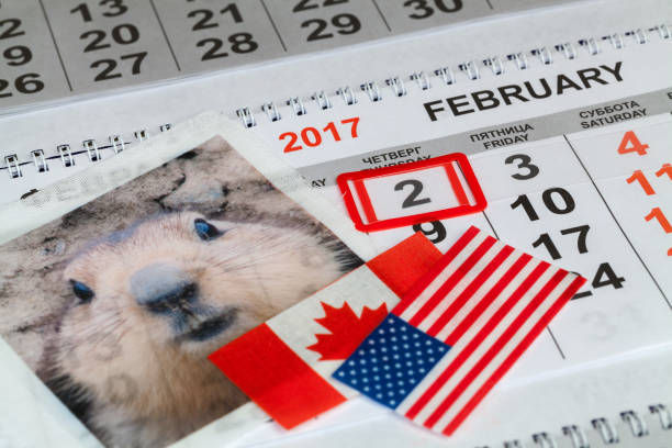 istock Calendar for February 2017 638402490