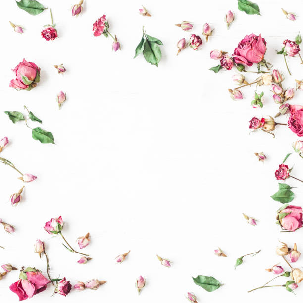 istock Frame made of dried rose flowers. Flat lay, top view 638403816