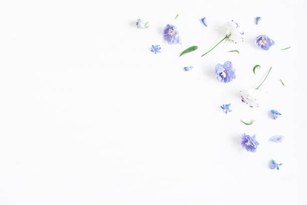 istock Border made of lilac and white flowers. Flat lay 638404636