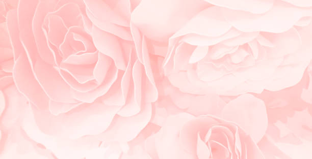 istock sweet color roses flower in blur style  pattern texture 638404994