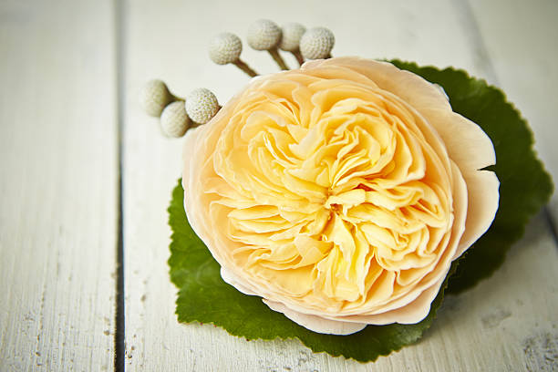 istock Little flower bouquet 638407012