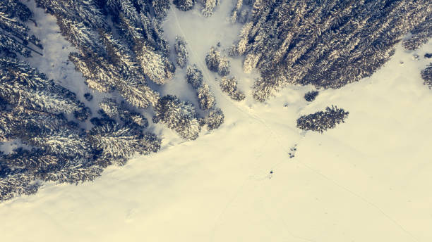 istock Aerial view of snow covered meadow with forest. 638411914