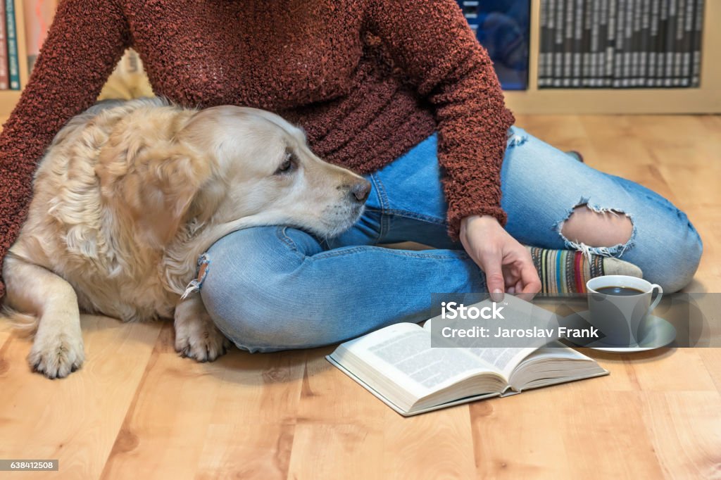 Woman is sitting down on the floor with white dog Woman is sitting down on the floor with Golden retriever dog. Open book and white cup of coffee are lying in front of them. The letters in the book are intentionally blurred. Book Stock Photo