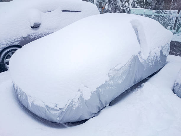 istock Cars covered with snow 638413830