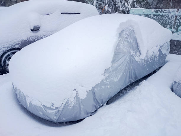 istock Cars covered with snow 638413872