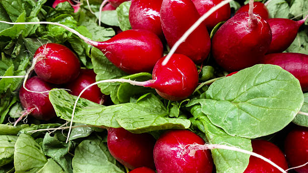 istock Fresh, organic red radishes at supermarket. 638420426