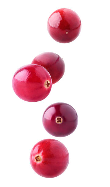 Isolated cranberries falling Isolated flying berries. Five falling cranberry fruits isolated on white background with clipping path cranberry stock pictures, royalty-free photos & images