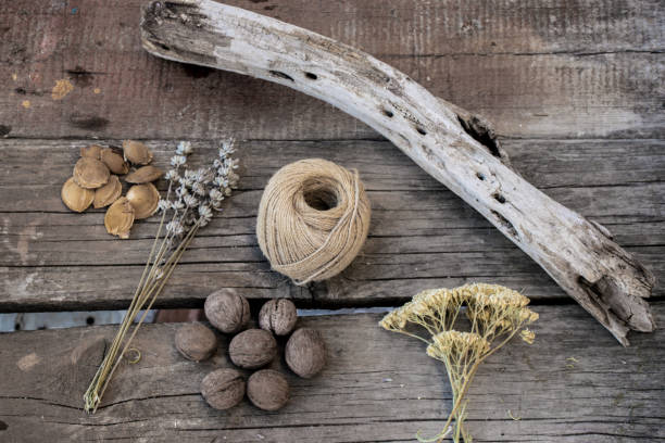 istock Sprigs of herbs, walnuts, string branch on wooden background 638423380