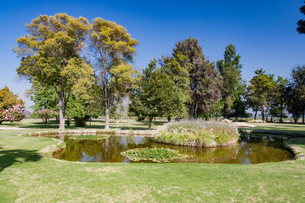 istock Lake and Garden Chile 638424218