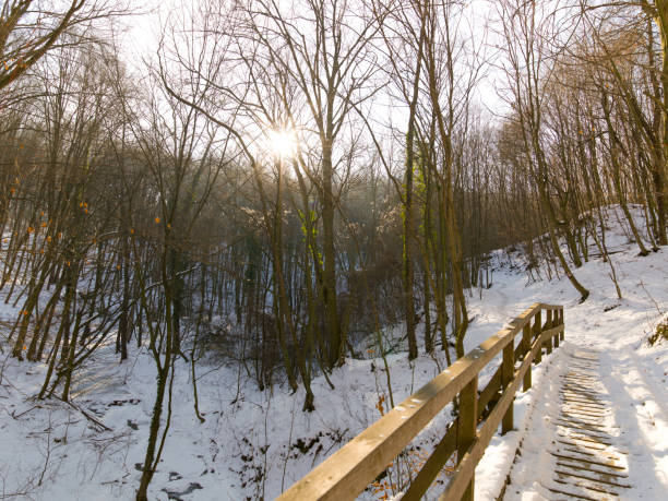 istock snow and ice and winter textures and various winter backgrounds 638426400