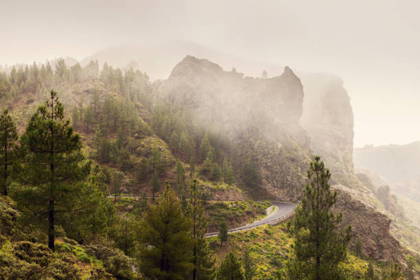istock Road to Roque Nublo 638428842