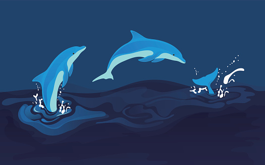 Vector illustration of dolphins
