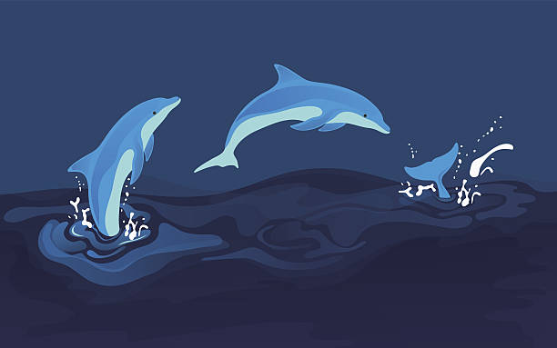 Vector illustration of dolphins Fully editable in Adobe Illustrator,(Eps 10 + transparency effects used .)  dolphin stock illustrations