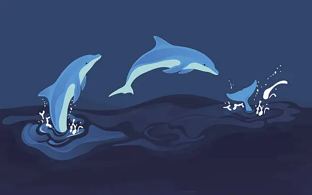 Vector illustration of Vector illustration of dolphins